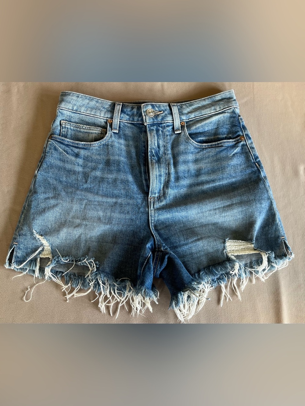 PAIGE The Dani Shorts | Size 26